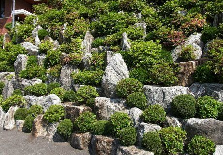 Сад камней на даче:как своими руками украсить участок